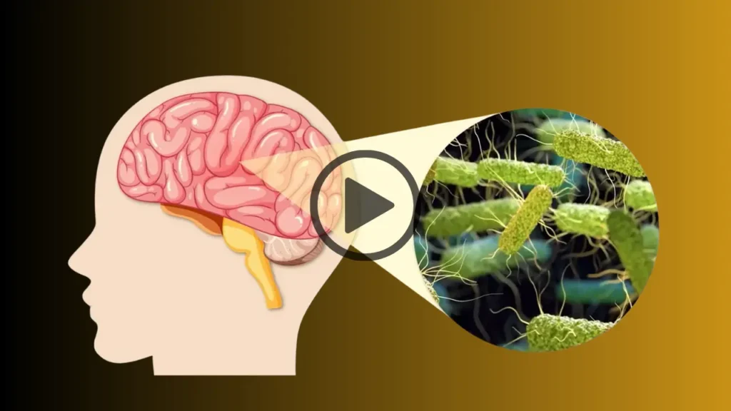 protected-gums-sharp-memory